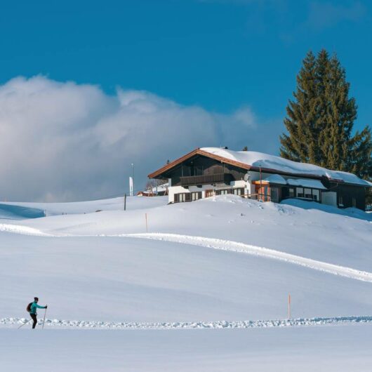 Chauffeur de Luxe Stations de Ski Alpes